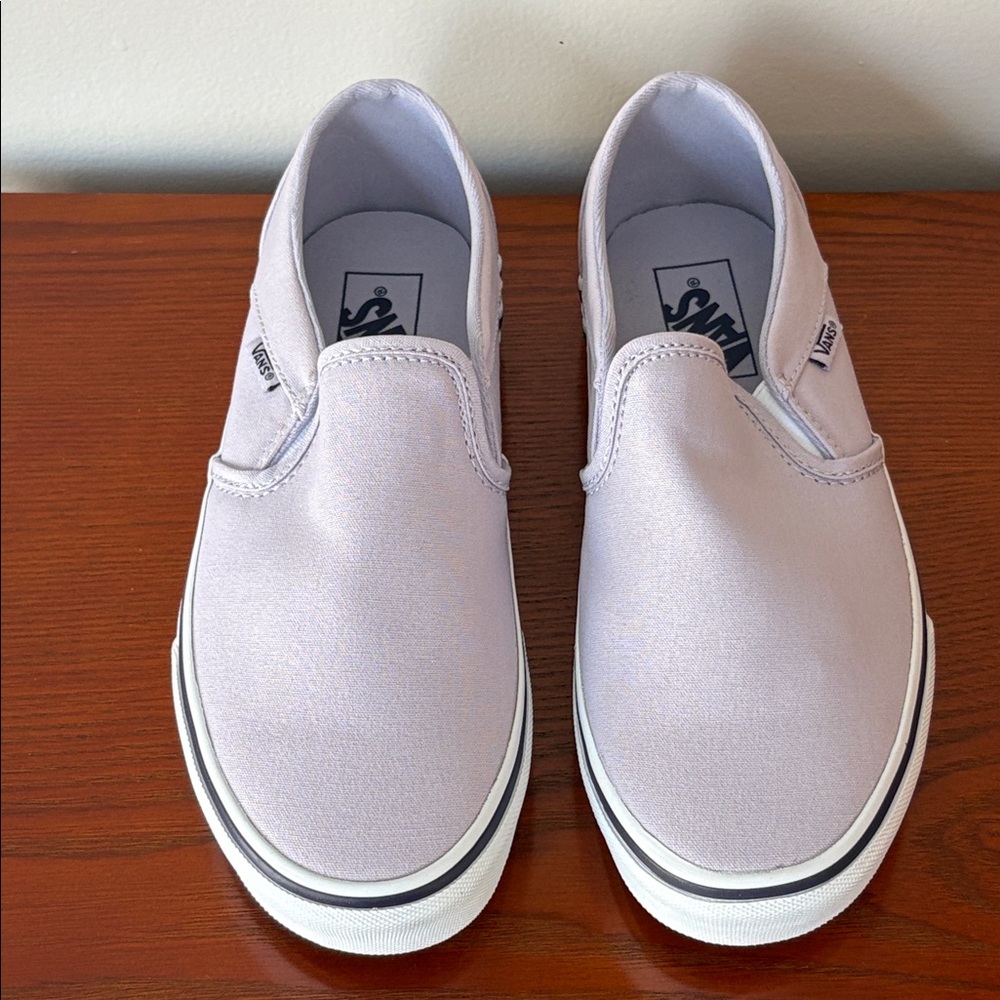 Vans Asher Mono Embroidery Lilac Slip On Women’s Shoes - Picture 2 of 14